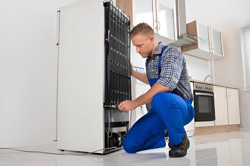 Refrigerator repair in San Jacinto